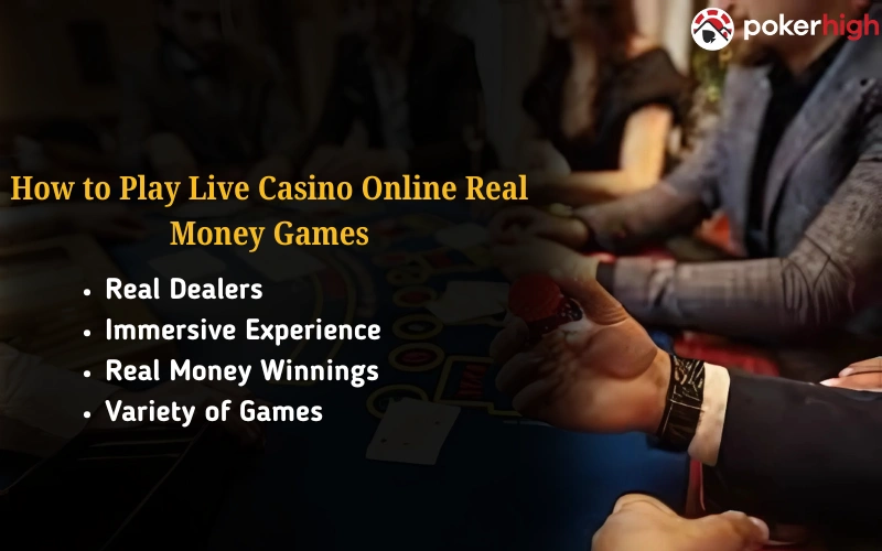 Play High-Stakes Poker Online at PokerHigh.online – Your Ultimate Poker Destination